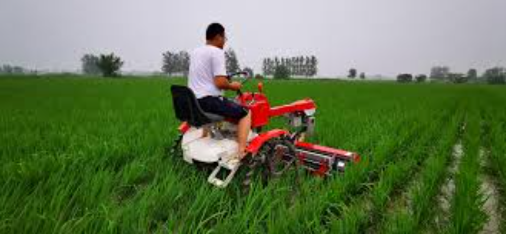 New Arrival Japanese Agricultural Cultivator Part Latest Design Alloy Rotary Blade Replacement for Paddy Field Premium Japanese