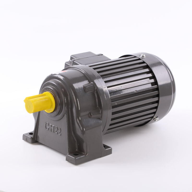 Small Size Three-Phase Asynchronous Electric Motor MS Series AC Motors