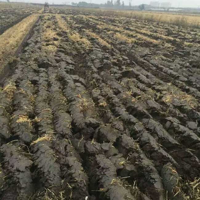 Agricultural Tractor Beam Driven Disc Plough for Paddy Field Farming