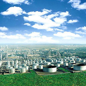 VOCs Exhaust Gas Treatment RTO Regenerative Thermal Oxidizer for Petrochemical Industry