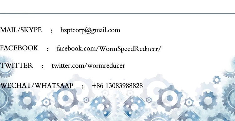 BL Series Stainless Steel Leaf Chain and Sprockets SSLH4046 SSBL2046 for Restaurant Industries