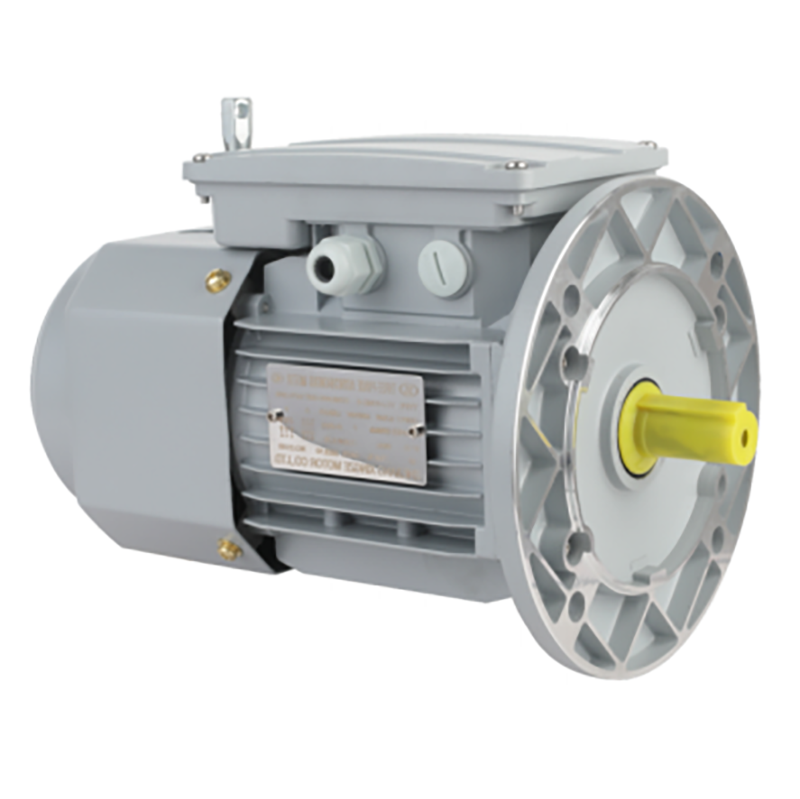Good Quality Vertical High Reliability Fast Braking Response Speed Three-phase Asynchronous Brake Motor