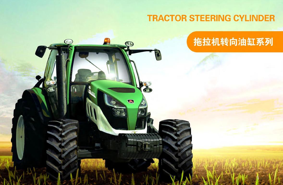High Power and Thrust Custom Double Acting Hydraulic Cylinder Tractor Left and Right Steering Cylinder