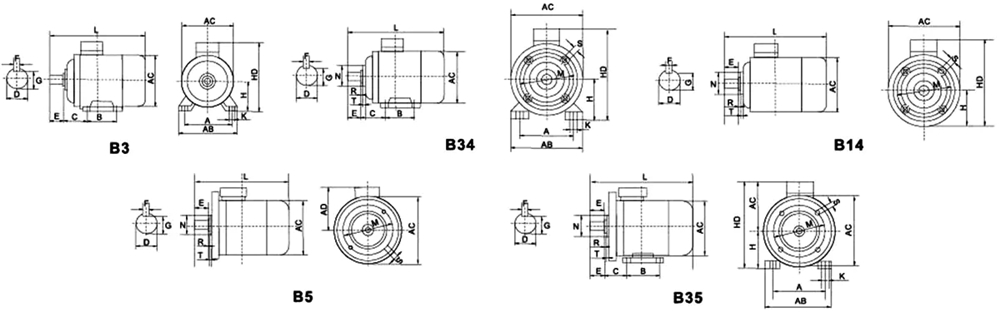 MS Series High-Efficiency Low Power Consumption Low Noise Three-Phase Asynchronous Motor With Aluminium Housing