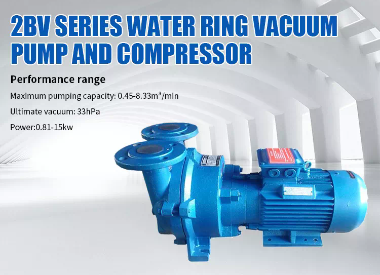 Professional 2bv Series Stainless Steel Single Stage Water Ring Vacuum Pumps with Low Price