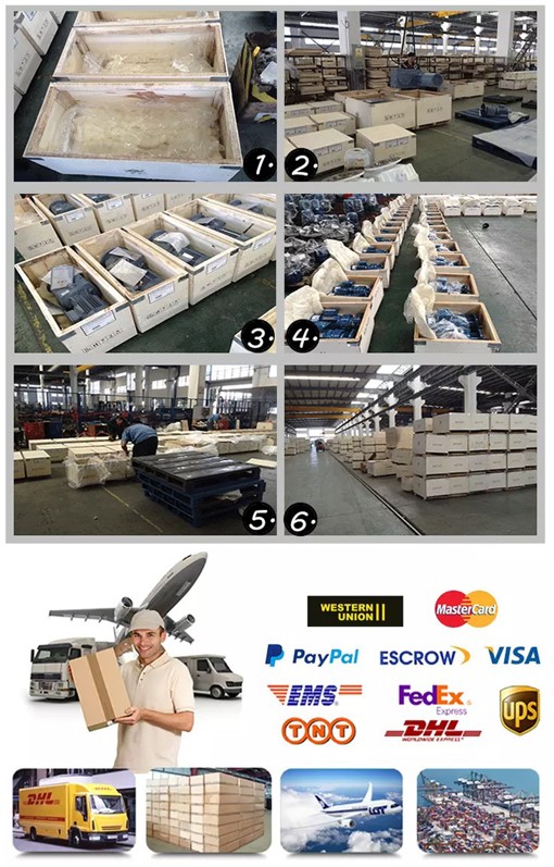 Poclain MSE Series Radial Piston Gear Motor MS02 MS05 MS08 MS11 MS18 MS25 MSE11 MSE11-2-11A-R11-2A10-5E00 Hydraulic Drive Wheel