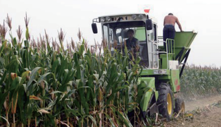 Agricultural Machinery Chains for Forage Harvester