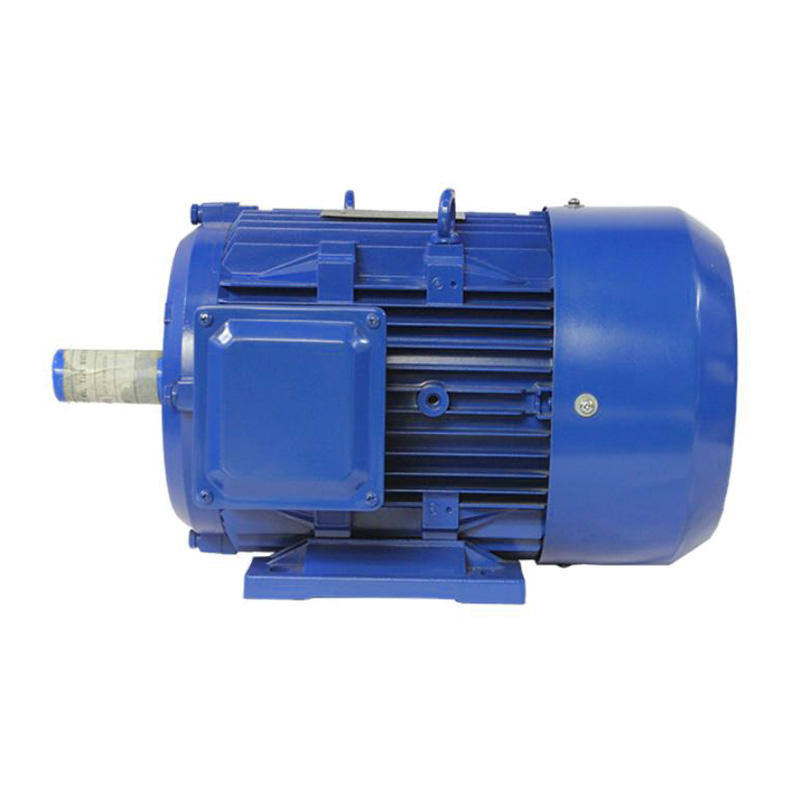 AC Servo Motor Standard Frame Size 1000/750rpm Rare Earth Permanent Magnet Energy-saving Three Phase Synchronous Motors