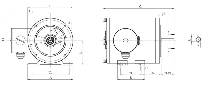 Exquisite Structure IP67 Waterproof NEMA TENV Stainless Steel Motor for Food Processing Plant