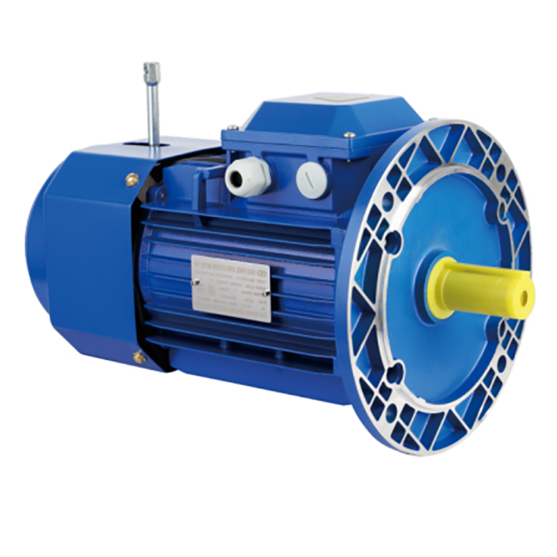 YEJ Series Vertical High Reliability Easy Installation Direct-current Three-phase Asynchronous Brake Motor