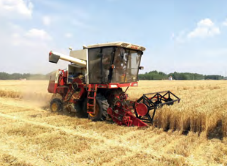 Agricultural Machinery Chains for Wheat Harvester